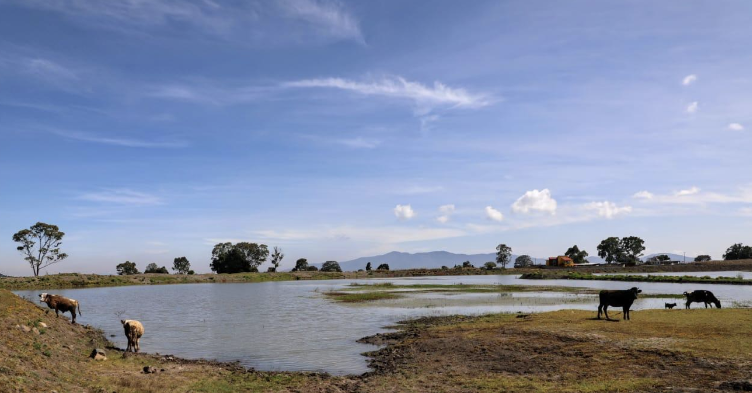 Edomex – Asegura GEM dotación de agua para agricultores de Jilotepec con obras de infraestructura (Portal)